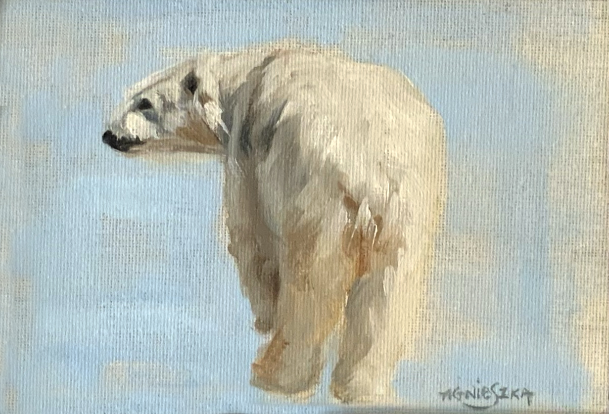 Polar Bear Study